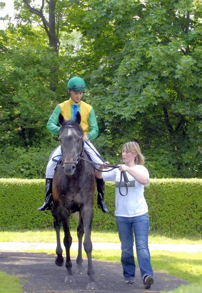 Neue Bult Mai09   121.jpg